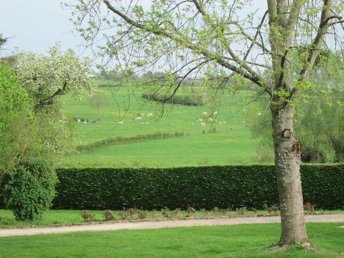 Le Clos De La Perdrix Bellenot-sous-Pouilly Exteriör bild
